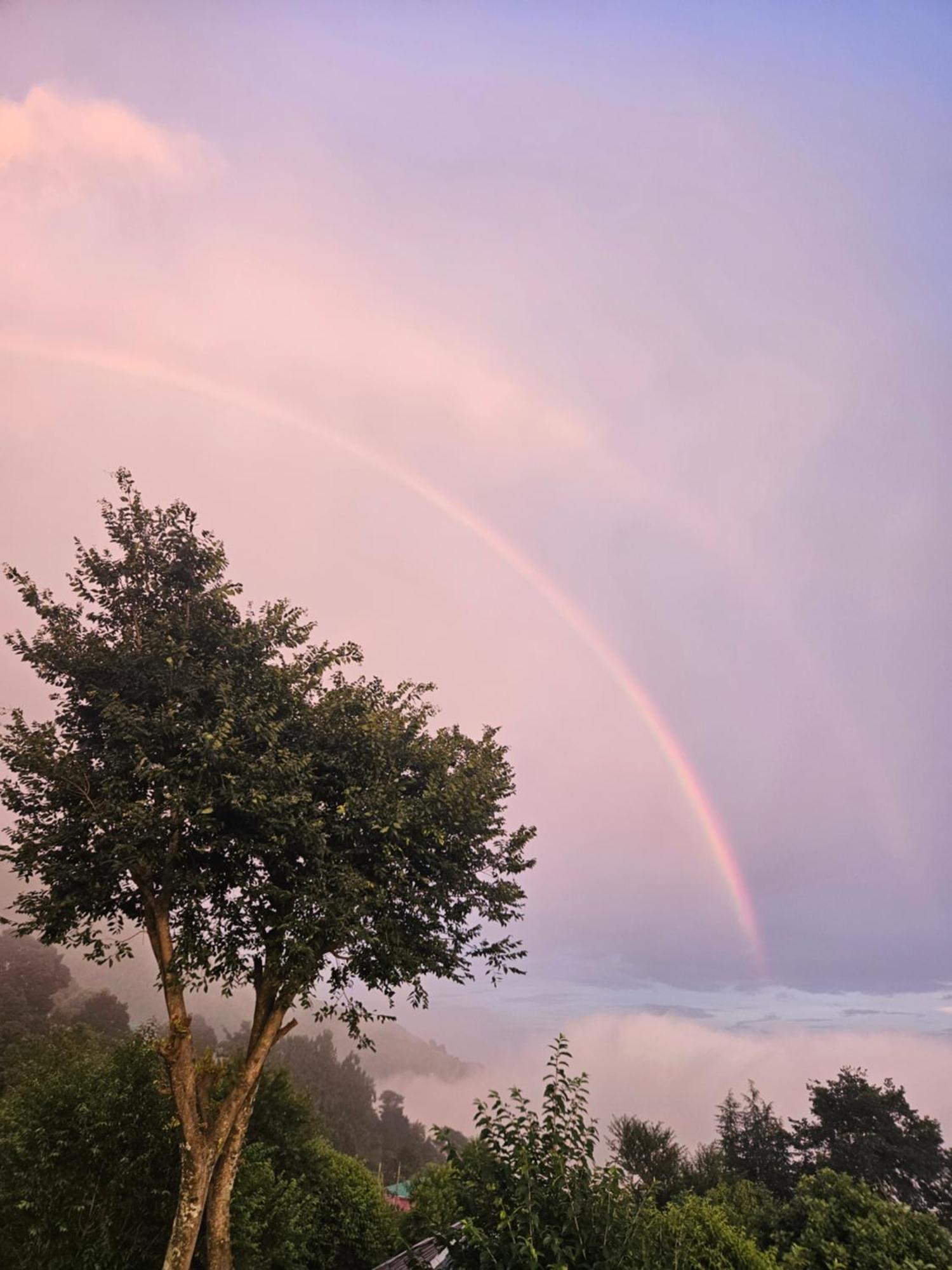 Dadi Homestay 360 Mountain View Bīr Dış mekan fotoğraf